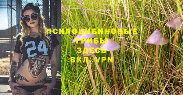 тгк Новокубанск