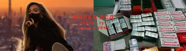 тгк Новокубанск