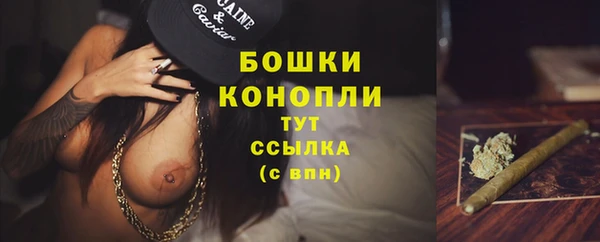 тгк Новокубанск