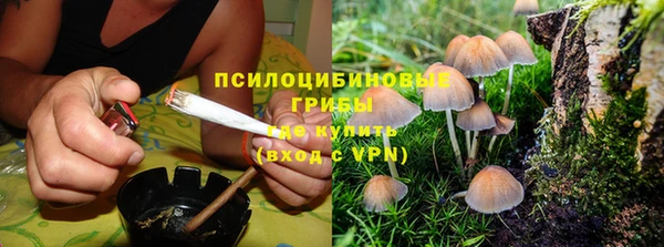 таблы Новодвинск
