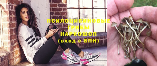 эйфоретик Нея