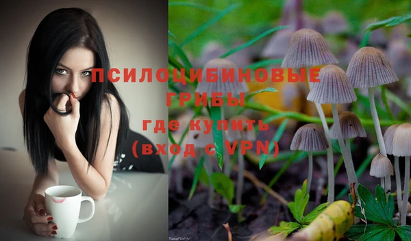 тгк Новокубанск
