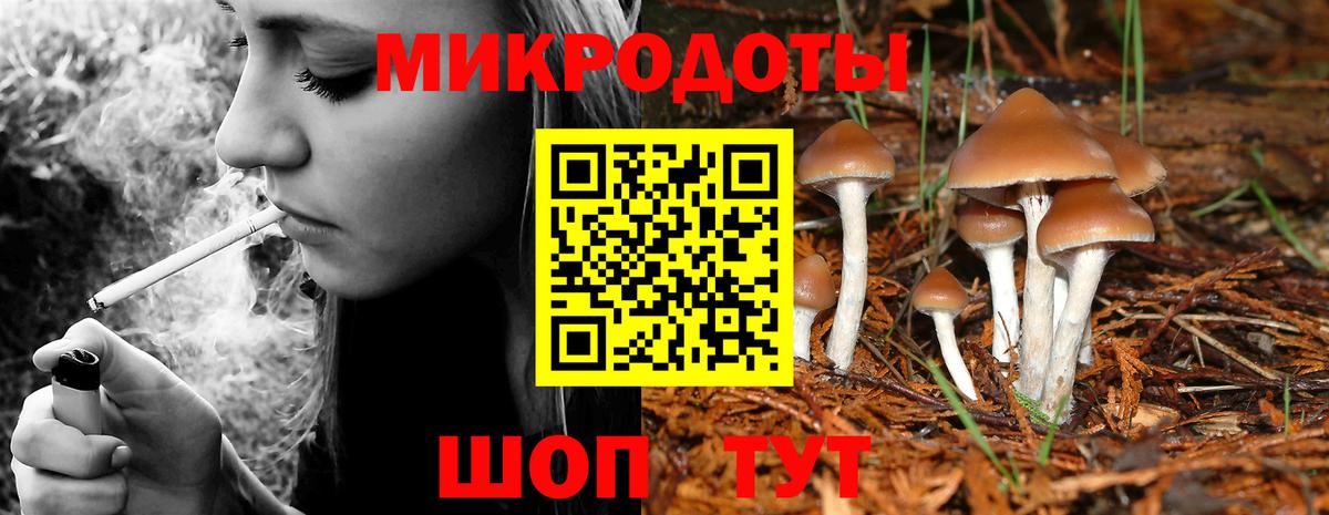 ГАШ Переславль-Залесский